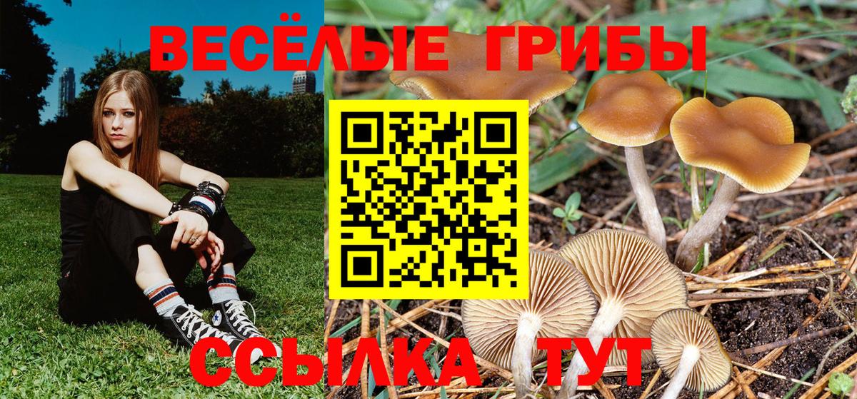 Галлюциногенные грибы MAGIC MUSHROOMS Красноярск